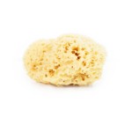 Naturalna gąbka morska  do twarzy i ciała - size XL